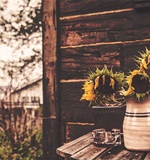 小编帮你分析IB A-LEVEL SAT2 AP语言类考试如何选择AOLevel考试资讯网_A-Level与O-Level考试培训网