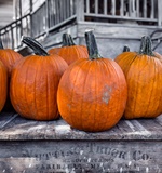 小编给你分析A Level物理与国内物理课程的区别AOLevel考试资讯网_A-Level与O-Level考试培训网