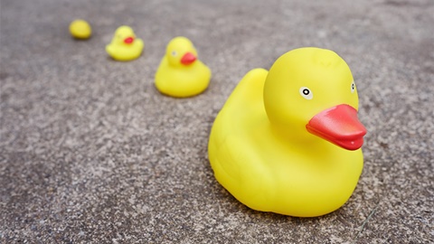 A-level课程在国内的发展现状AOLevel考试资讯网_A-Level与O-Level考试培训网