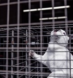 A-level数学并不简单,小编提醒你选课应注意？AOLevel考试资讯网_A-Level与O-Level考试培训网