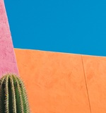 A- Level、IGCSE赶超SAT、SSATAOLevel考试资讯网_A-Level与O-Level考试培训网