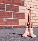 小编帮你整理了一些A-level问题AOLevel考试资讯网_A-Level与O-Level考试培训网