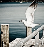 小编教你A-level考试技巧AOLevel考试资讯网_A-Level与O-Level考试培训网