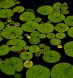 小编帮你总结了A-level化学常用基础词汇AOLevel考试资讯网_A-Level与O-Level考试培训网