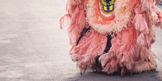 赴英留学最难A-level考试“面签关” 可信度AOLevel考试资讯网_A-Level与O-Level考试培训网