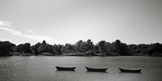 新西兰奥克兰大学A-level考试语言中心不接受托福成绩AOLevel考试资讯网_A-Level与O-Level考试培训网