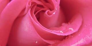 A-level考试决定着什么？AOLevel考试资讯网_A-Level与O-Level考试培训网