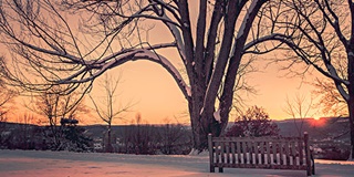 A-Level和预科的区别有哪些呢？AOLevel考试资讯网_A-Level与O-Level考试培训网