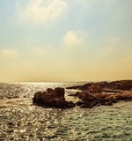 A-Level课程艺术和设计：纺织品设计AOLevel考试资讯网_A-Level与O-Level考试培训网