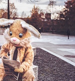 A-level什么成绩可以上香港理工大学?AOLevel考试资讯网_A-Level与O-Level考试培训网