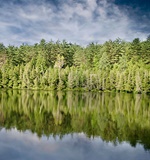 小编教你如何备考ALEVELAOLevel考试资讯网_A-Level与O-Level考试培训网