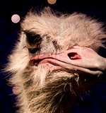 A-level经济学考试复习方法与复习误区解读AOLevel考试资讯网_A-Level与O-Level考试培训网