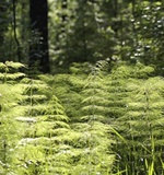 小编给你整理了一些A-Level经济学常用词汇AOLevel考试资讯网_A-Level与O-Level考试培训网