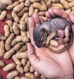 alevel经济复习资料AOLevel考试资讯网_A-Level与O-Level考试培训网