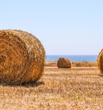 你所不了解的A-Level课程AOLevel考试资讯网_A-Level与O-Level考试培训网