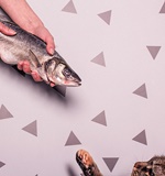 数百名英国留学生突遭离境，这是怎么回事AOLevel考试资讯网_A-Level与O-Level考试培训网