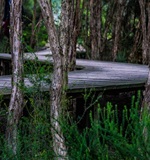 2015-2016A-level改革的五大重点AOLevel考试资讯网_A-Level与O-Level考试培训网