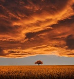 A-Level考试成绩评分有哪些标准AOLevel考试资讯网_A-Level与O-Level考试培训网