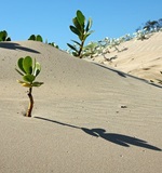 A-Level考试时间及成绩查询时间分别是什么时候AOLevel考试资讯网_A-Level与O-Level考试培训网