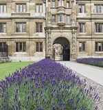 全方位解析GCSE和A-LevelAOLevel考试资讯网_A-Level与O-Level考试培训网