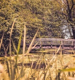 A-Level获4个A可进国际一流大学 国际班受捧AOLevel考试资讯网_A-Level与O-Level考试培训网