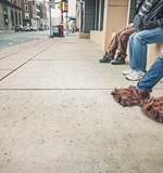 A-level生物学简介AOLevel考试资讯网_A-Level与O-Level考试培训网