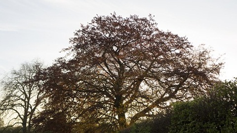2017英国私立学校A-Level成绩排行榜 卡迪夫学院位居第一AOLevel考试资讯网_A-Level与O-Level考试培训网
