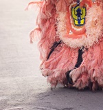 不是开玩笑 英国奖学金动辄百万AOLevel考试资讯网_A-Level与O-Level考试培训网