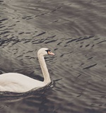 调查显示 英顶尖大学更“偏爱”海外学生AOLevel考试资讯网_A-Level与O-Level考试培训网