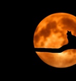 国际学生满意度大调查 英国总体满意度排名第一AOLevel考试资讯网_A-Level与O-Level考试培训网