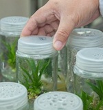 olevel双语阅读：最新报告显示 北京白领最满意人际关系AOLevel考试资讯网_A-Level与O-Level考试培训网