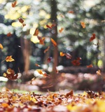  'O' Level考试与中国等级考试的区别AOLevel考试资讯网_A-Level与O-Level考试培训网