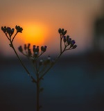 O-level双语阅读：霍金预言，600年后地球将变火球AOLevel考试资讯网_A-Level与O-Level考试培训网