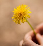 O-level双语阅读：你要成为自己的那道光AOLevel考试资讯网_A-Level与O-Level考试培训网