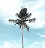 A-level物理与中国物理的【区别】AOLevel考试资讯网_A-Level与O-Level考试培训网