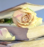 A-level高中？是什么AOLevel考试资讯网_A-Level与O-Level考试培训网