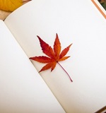 A-level成绩有哪些等级呢？AOLevel考试资讯网_A-Level与O-Level考试培训网