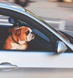 A-level成绩有决！定！性！作用AOLevel考试资讯网_A-Level与O-Level考试培训网