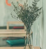 A-level的招生对象是你吗AOLevel考试资讯网_A-Level与O-Level考试培训网