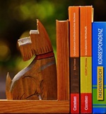 A-Level课程艺术和设计：纺织品设计AOLevel考试资讯网_A-Level与O-Level考试培训网