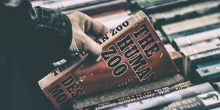 剑桥A Level是否适合中国高中生就读AOLevel考试资讯网_A-Level与O-Level考试培训网