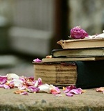 A-level科目选课九大准则AOLevel考试资讯网_A-Level与O-Level考试培训网