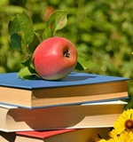 alevel留学资讯：英国高中留学申请文书写作要点AOLevel考试资讯网_A-Level与O-Level考试培训网