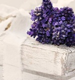 olevel考试资讯：新加坡o水准考试可以进入什么样的高中AOLevel考试资讯网_A-Level与O-Level考试培训网