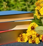 alevel考试资讯：英国阿伯丁大学国际法硕士课程设置AOLevel考试资讯网_A-Level与O-Level考试培训网