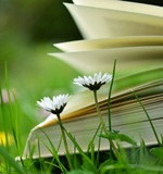 申请就读新加坡A水准预备班的条件介绍AOLevel考试资讯网_A-Level与O-Level考试培训网