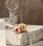 o-level留学资讯：斯旺西大学的简单介绍和热门专业解析AOLevel考试资讯网_A-Level与O-Level考试培训网