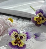 带你了解新加坡剑桥A水准预备课程班AOLevel考试资讯网_A-Level与O-Level考试培训网