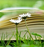 A-level留学资讯：伦敦城市大学新闻学本科的简单介绍AOLevel考试资讯网_A-Level与O-Level考试培训网