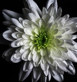 A-level留学资讯：解析曼彻斯特大学的优势工科专业AOLevel考试资讯网_A-Level与O-Level考试培训网